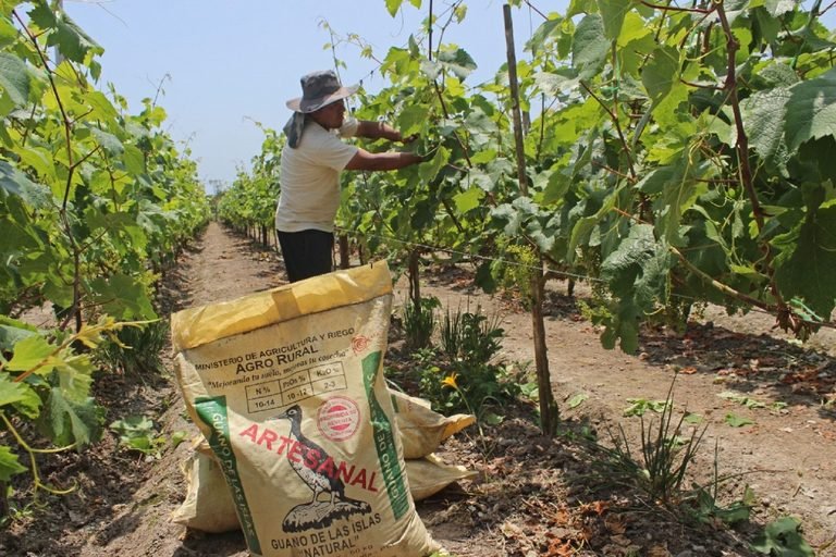 Hasta julio, Perú importó menos fertilizantes, pero gastó más en estos insumos