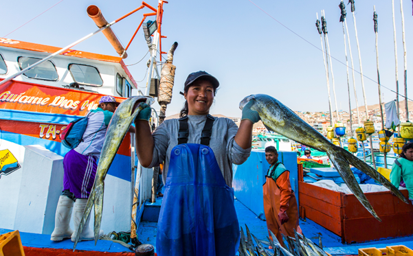 Produce fija cuota de pesca de perico en 58,000 toneladas