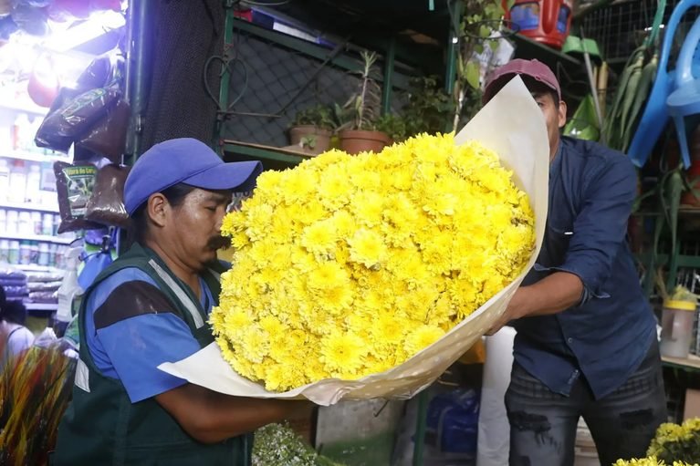 Más de 7,000 productores peruanos cultivan flores y buscan mejorar su comercialización